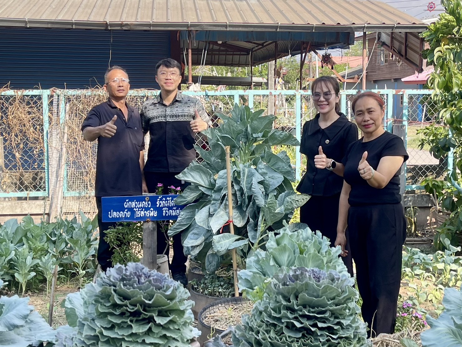 ✨สพอ.หนองบัวแดง : ปลูกผักสวนครัวเพื่อสร้างความมั่นคงทางอาหาร✨