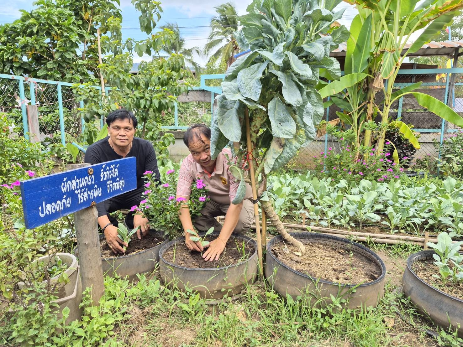 📣 ข่าวประชาสัมพันธ์: สำนักงานพัฒนาชุมชนอำเภอหนองบัวแดง จ.ชัยภูมิ 📣